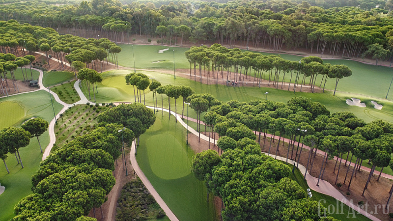 Regnum Carya Golf Club #утро профессиональная фотография гольф-поля; GolfArt