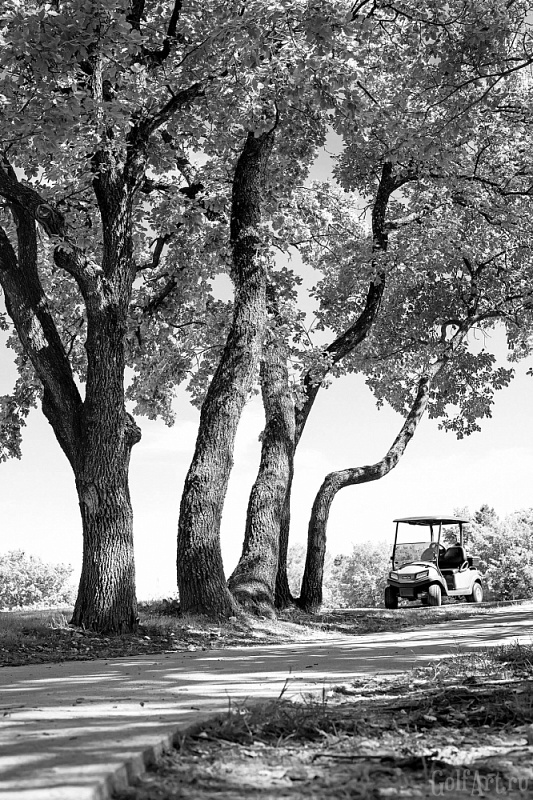 Golf Club Terre Blanche. Hole 10 профессиональная фотография гольф-поля; GolfArt