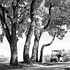 Golf Club Terre Blanche. Hole 10 Golf Club Terre Blanche. Hole 10 профессиональная фотография гольф-поля; GolfArt