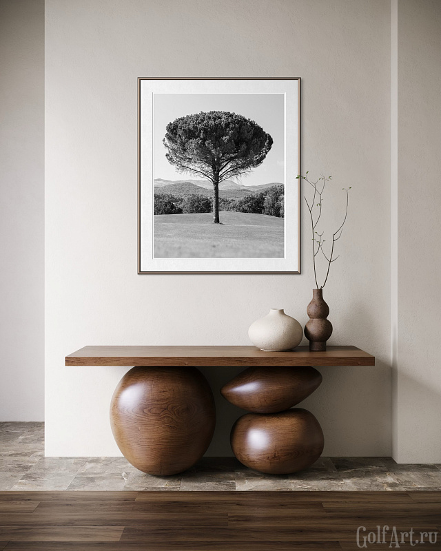 Фотография «Hole 5. Terre Blanche Golf Club» фотография из цикла Black and White, для художественного оформления гольф-клуба/кабинета/офиса; GolfArt