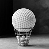 Фотография "Первый среди равных" фотография из цикла Black and White, для художественного оформления гольф-клуба/кабинета/офиса; GolfArt